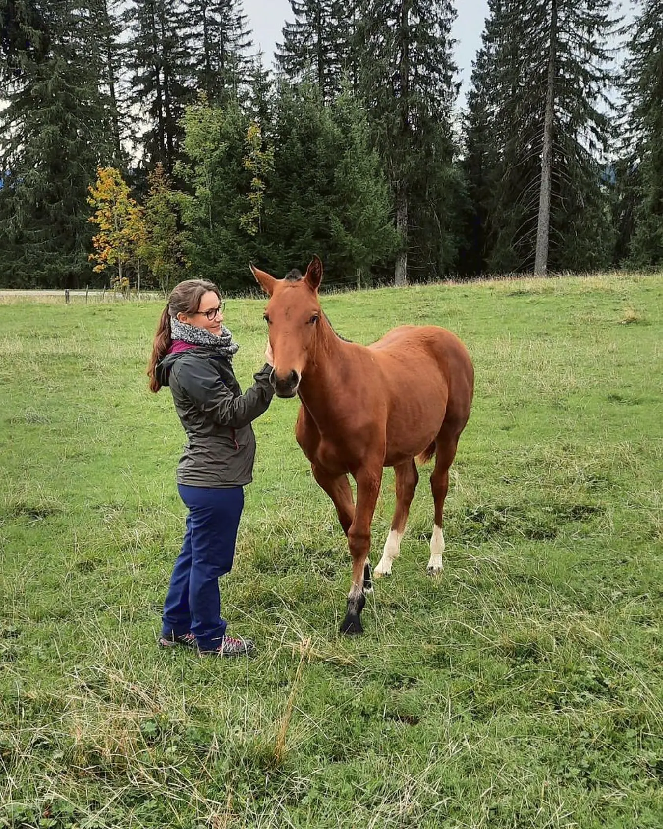 Aurélie caressant un jeune cheval alezan dans un pré bordé de sapins